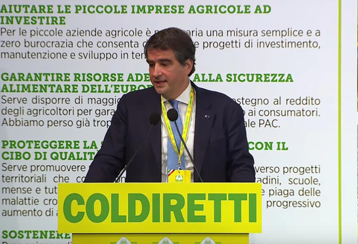 Raffaele Fitto, vicepresidente della Commissione UE